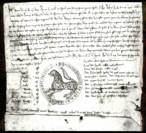 Privilegio rodado de Alfonso IX, otorgado en Valencia de Don Juan el 13 de febrero de 1219